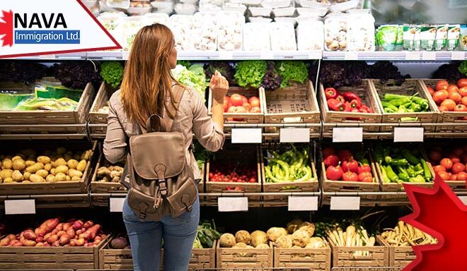 A beginner guide for newcomers to save on groceries in Canada