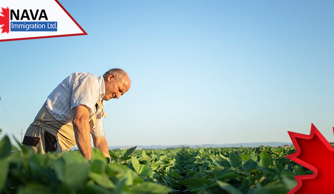 Vacancies in Agriculture & Agri-Food Labor Force 